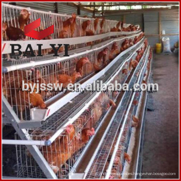 Granja de pollo que construye el gallinero para las gallinas ponedoras en Nigeria